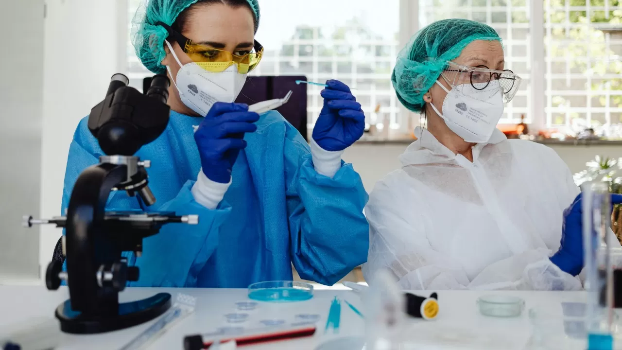 What are Peptide Hormones?