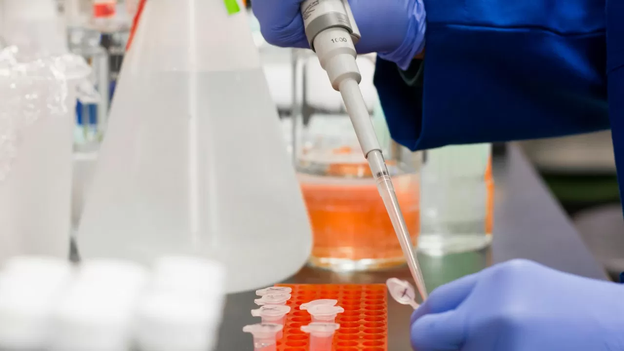 <strong>Is insulin a protein or peptid</strong>