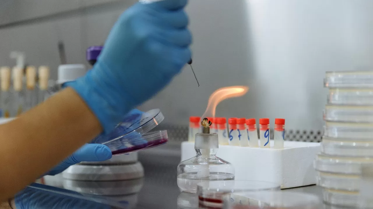 What are the promising trends 