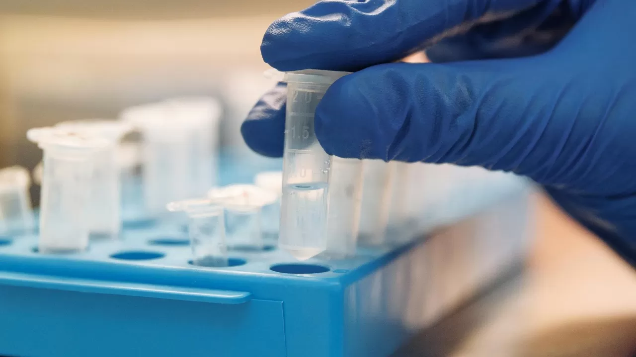 How do peptide hormones change